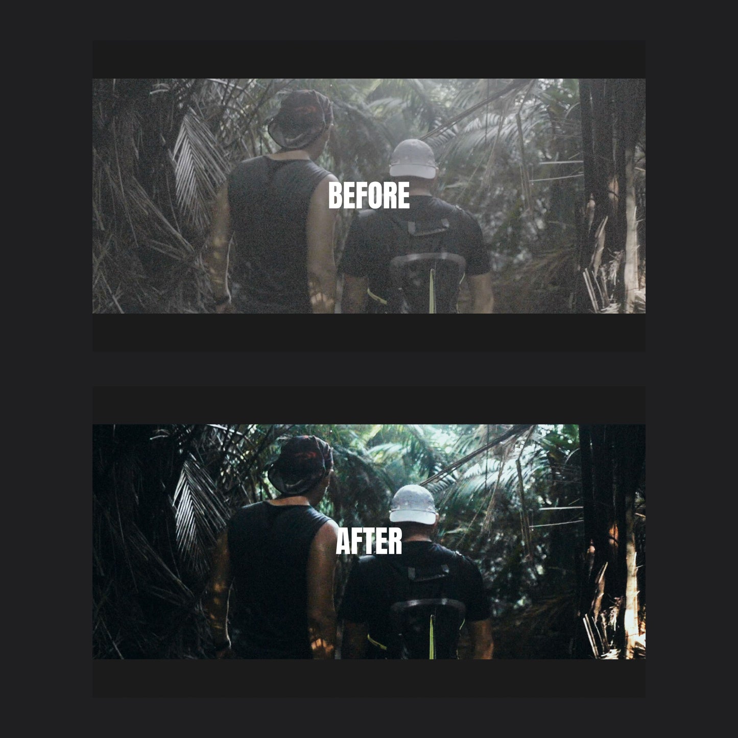 VISION GRADE (TRAVEL LUTs)