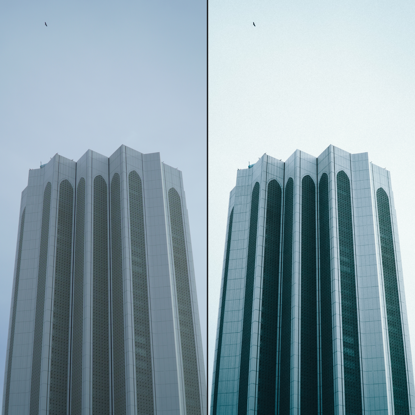 THE ADVENTURE LIGHTROOM BUNDLE (𝙉𝙀𝙒!)