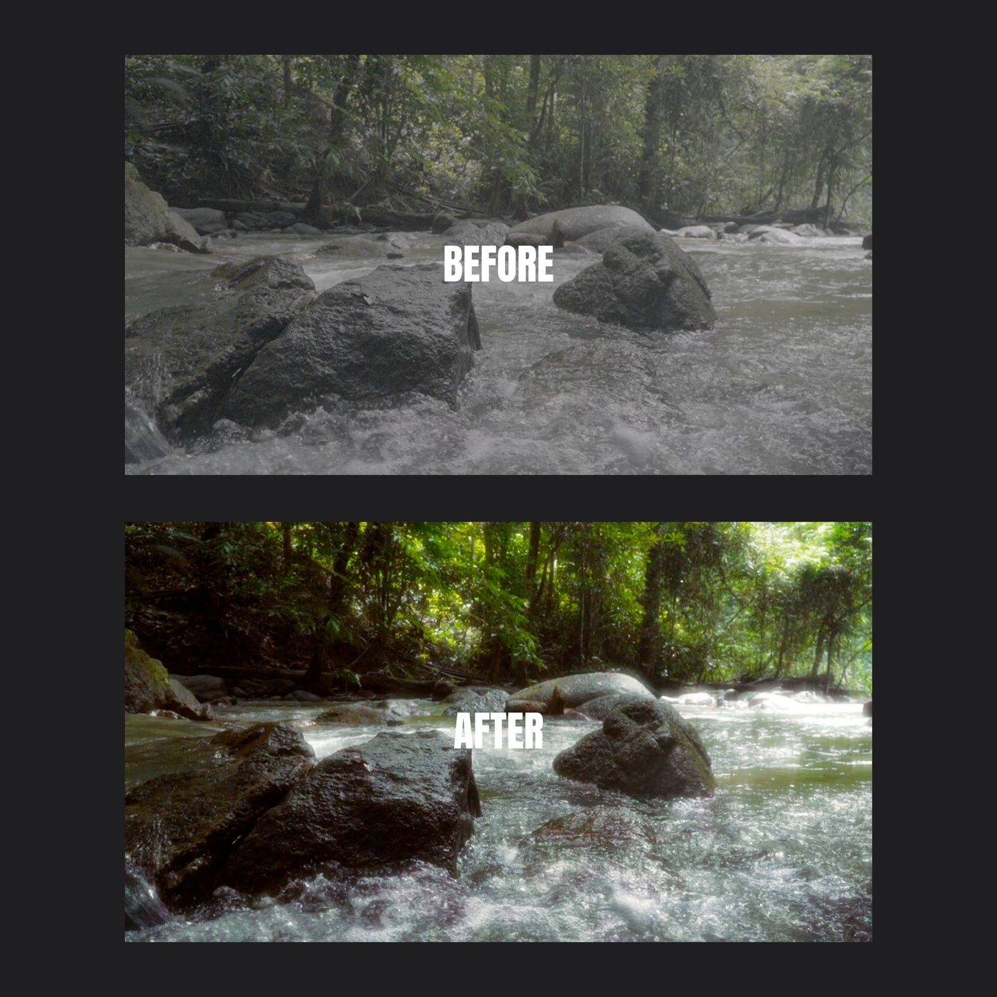 VISION GRADE (FILM LUTs)