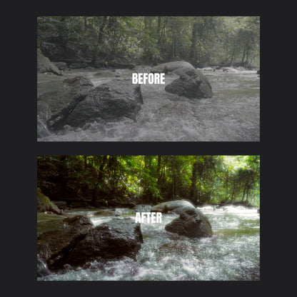 VISION GRADE (FILM LUTs)